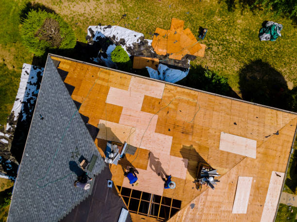 Best Roof Gutter Cleaning  in Bishop, TX
